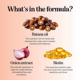 Maple Holistics Biotin & Batana Shampoo bottle label close-up with onion biotin blend.