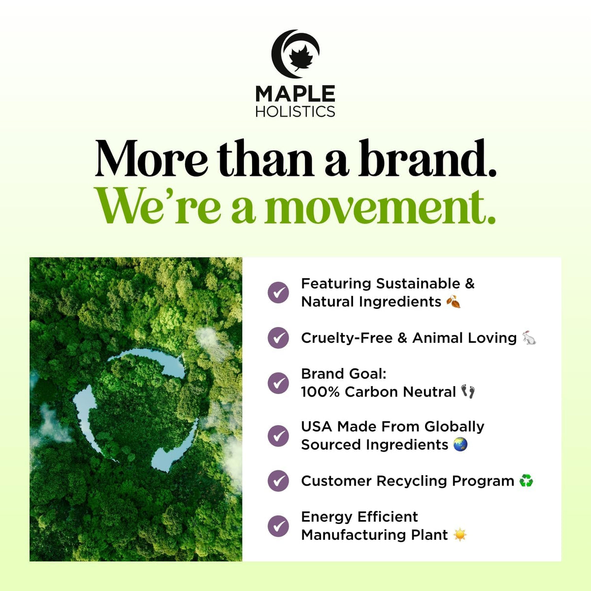 Maple Holistics recyclable packaging promotes eco-friendly hair care.
