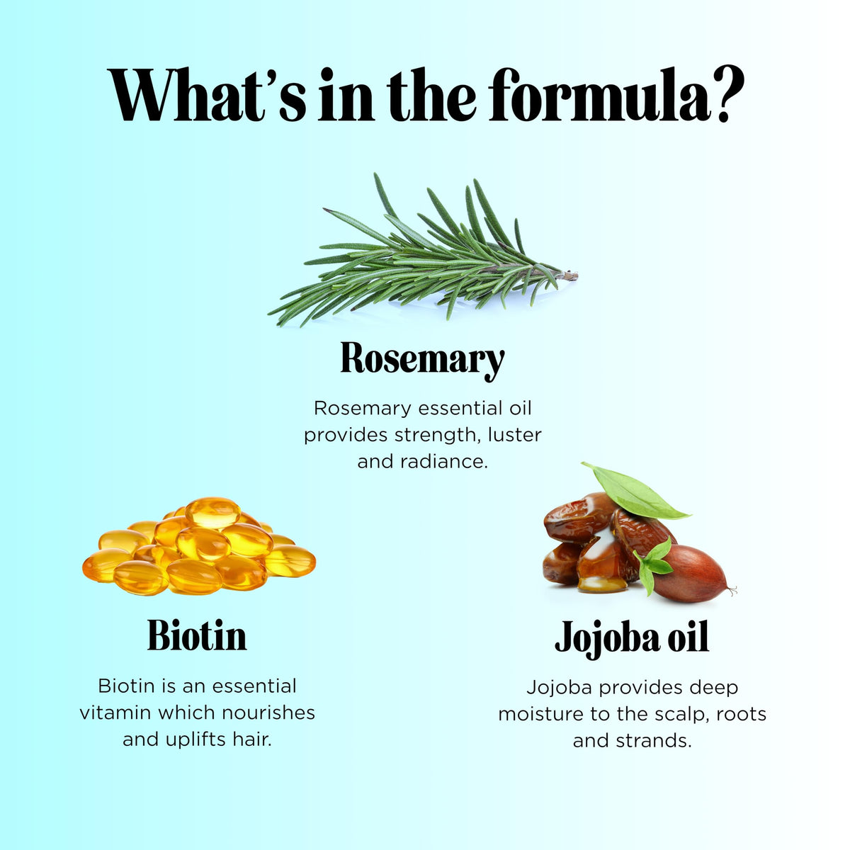 Maple Holistics Rosemary Biotin Shampoo and Conditioner after wash for smooth hair