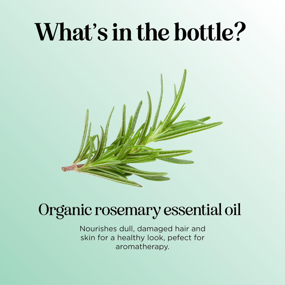 Hair care with rosemary oil for softer, fuller-looking strands