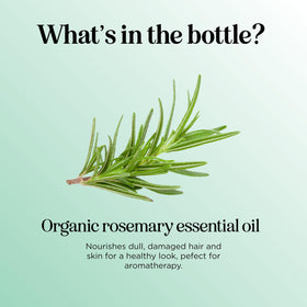 Hair care with rosemary oil for softer, fuller-looking strands