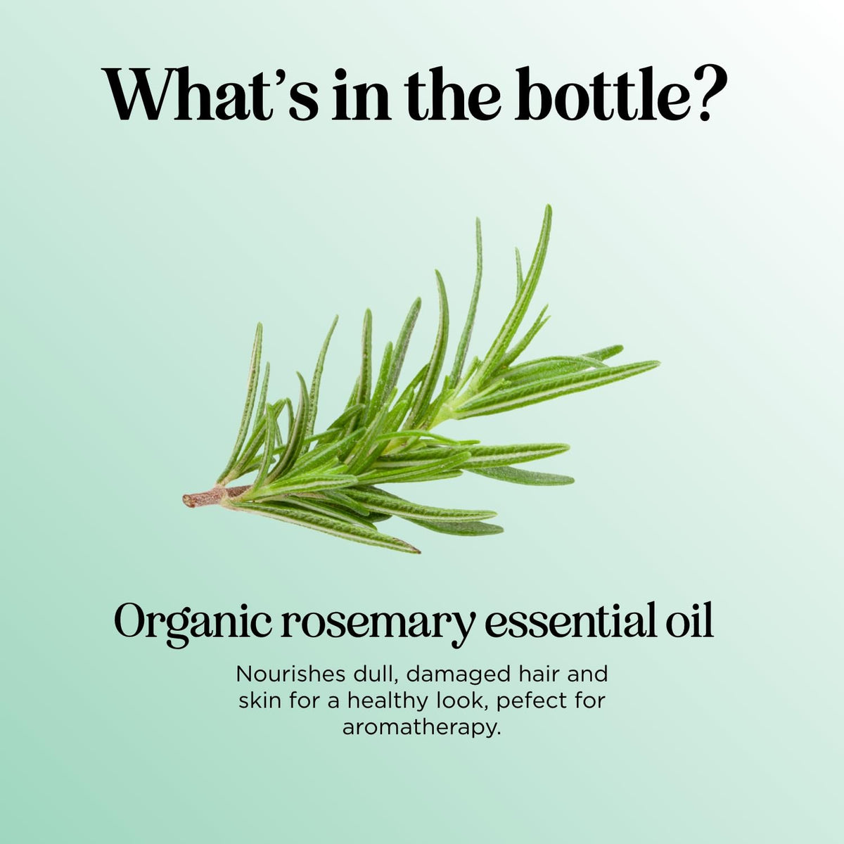 Maple Holistics rosemary oil on hair highlights natural shine