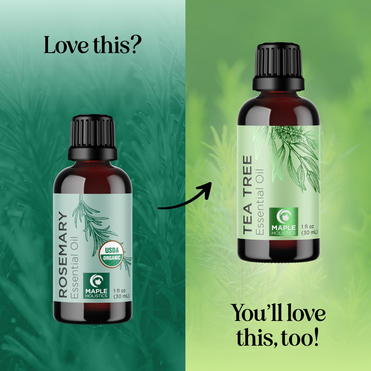 Packaging of Maple Holistics rosemary oil with organic certification