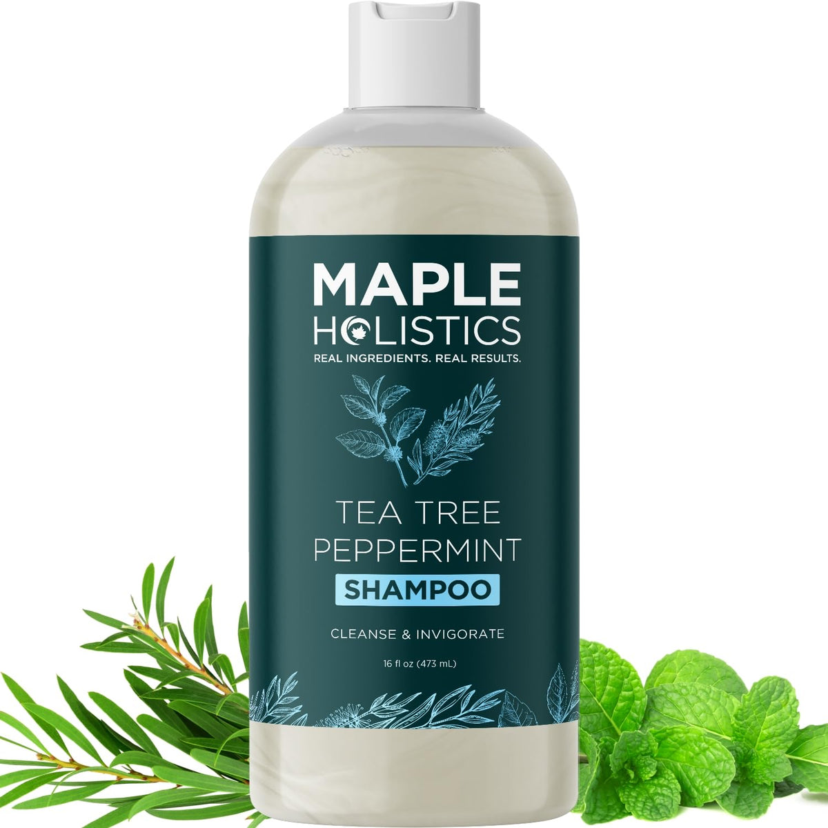 Maple Holistics Rosemary Tea Tree Mint Shampoo bottle on clean backdrop for daily cleansing.