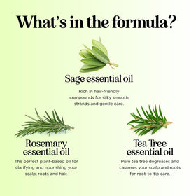 Maple Holistics color-safe formula helps preserve hair shade.