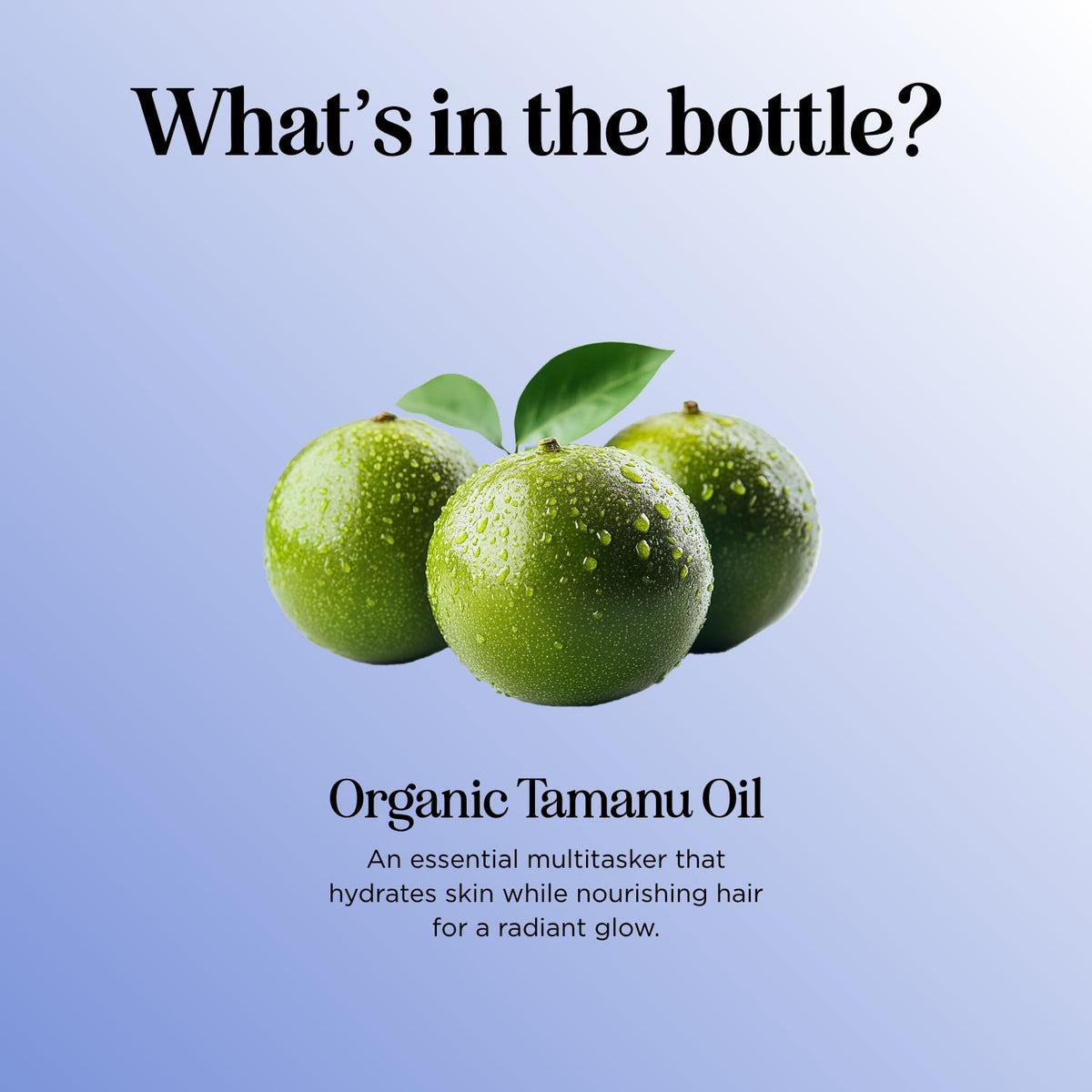 Maple Holistics tamanu oil shown with essential oils for customizable blends.