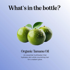 Maple Holistics tamanu oil shown with essential oils for customizable blends.