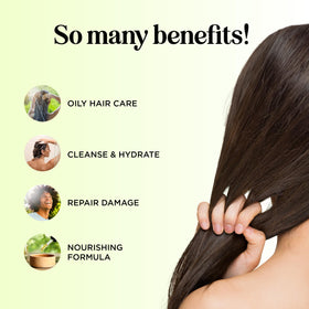 Maple Holistics Tea Tree Conditioner label front highlights sulfate-free formula