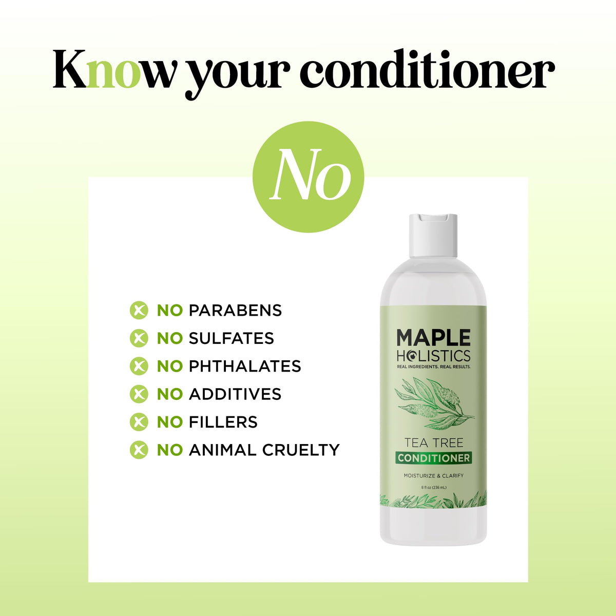 Maple Holistics Tea Tree plant depicts natural ingredient source