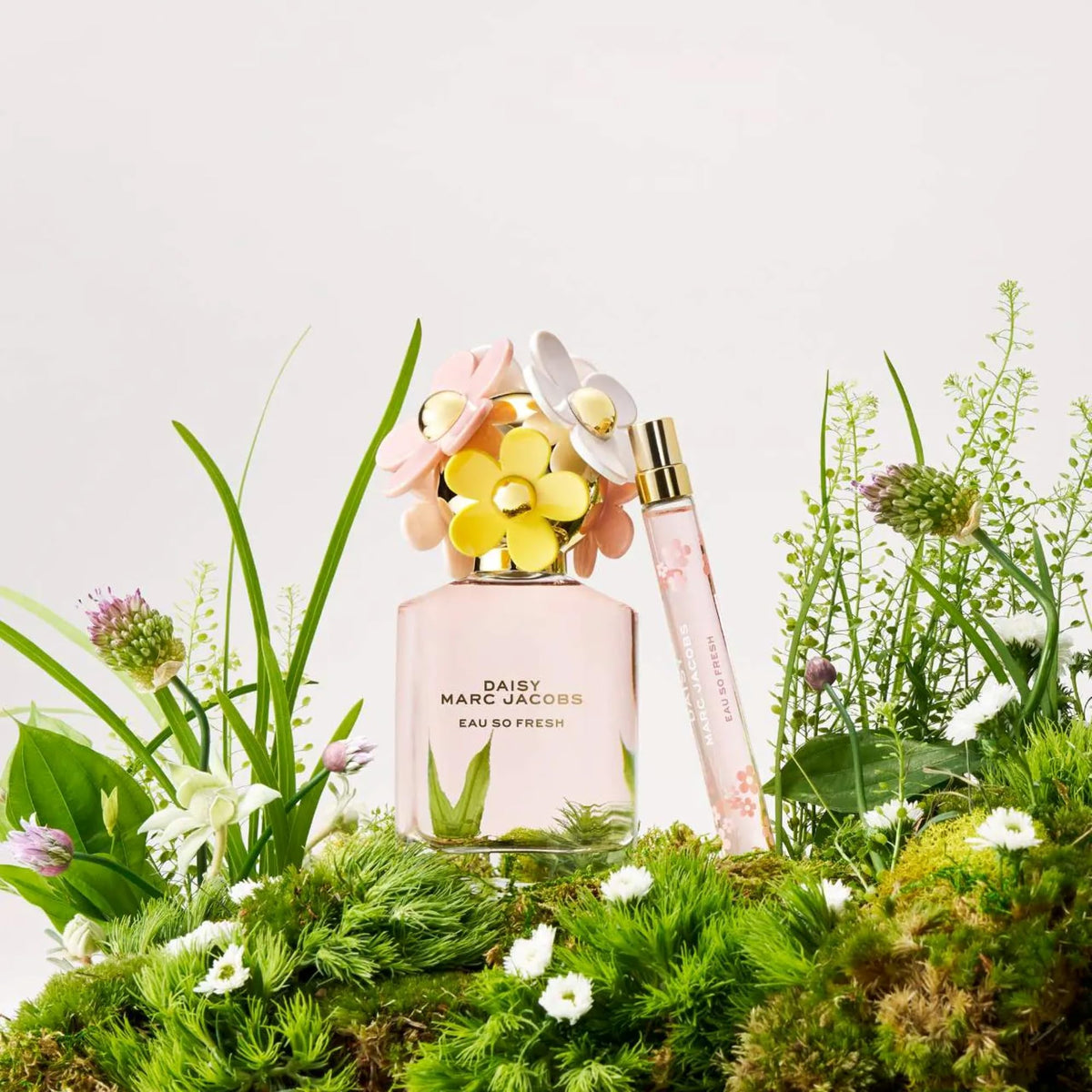 Marc Jacobs Daisy Eau So Fresh base notes closeup, warm plum and cedarwood