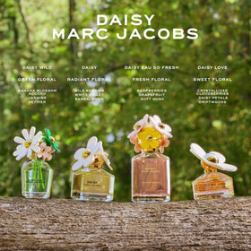 Gift-ready Marc Jacobs Daisy set on display for spring celebrations