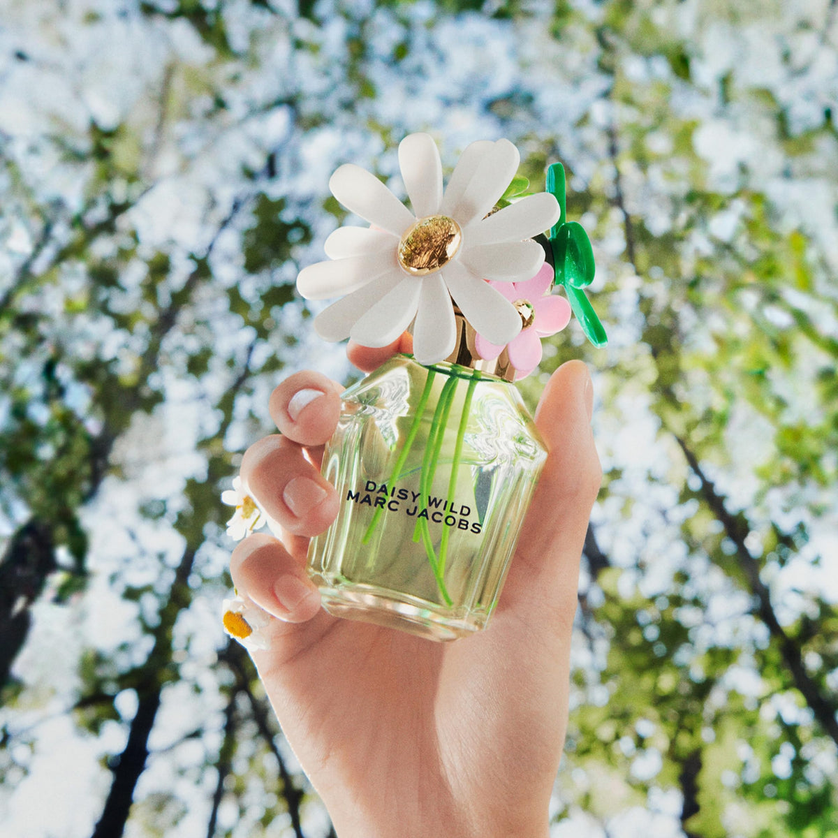 Marc Jacobs Daisy Wild lifestyle scene with the fragrance on a dresser, ideal for daily wear