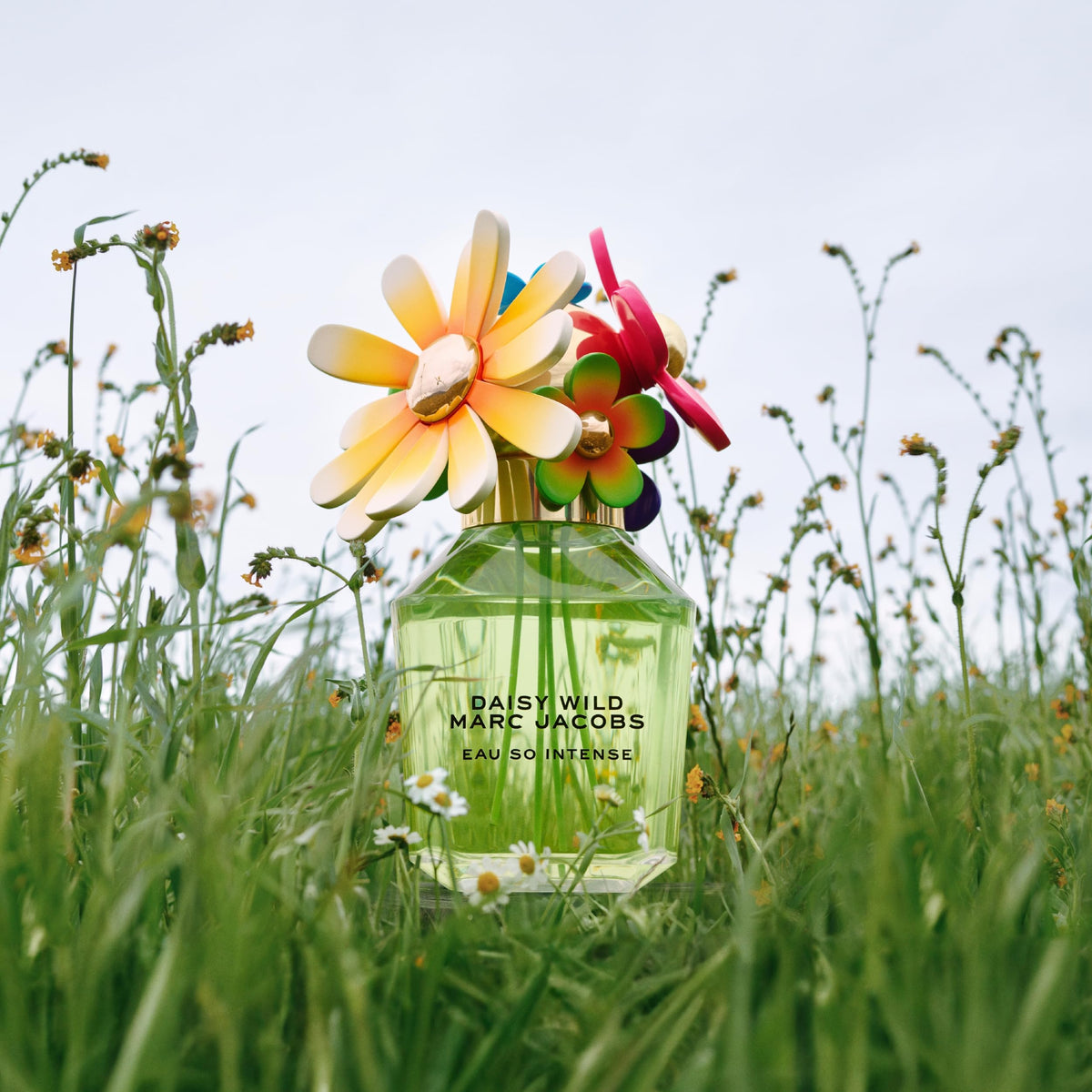 Marc Jacobs Daisy Wild Intense travel-friendly box and bottle setup for on-the-go scent