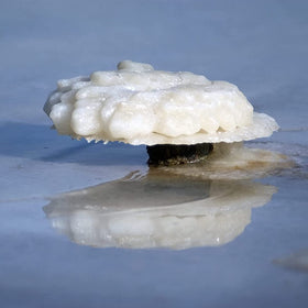 Marco Esra Dead Sea magnesium flakes swirled into a relaxing bath.