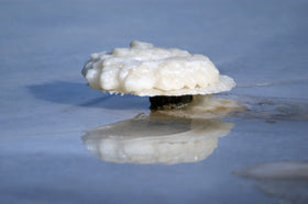 MARCO ESRA Dead Sea salts shower-scene indicates versatile use in a quick wash.