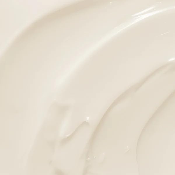 Close-up of the Chamomile Night Cream jar, soothing sensitivity with gentle, calming botanicals.