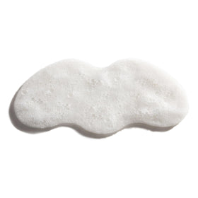 Papaya and willow bark extracts and antioxidants in Mario Badescu formula