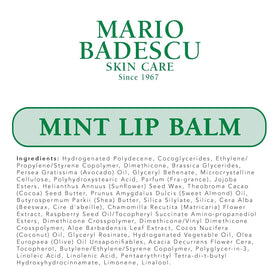 Purse-friendly Mario Badescu Mint Lip Balm on the go for quick relief