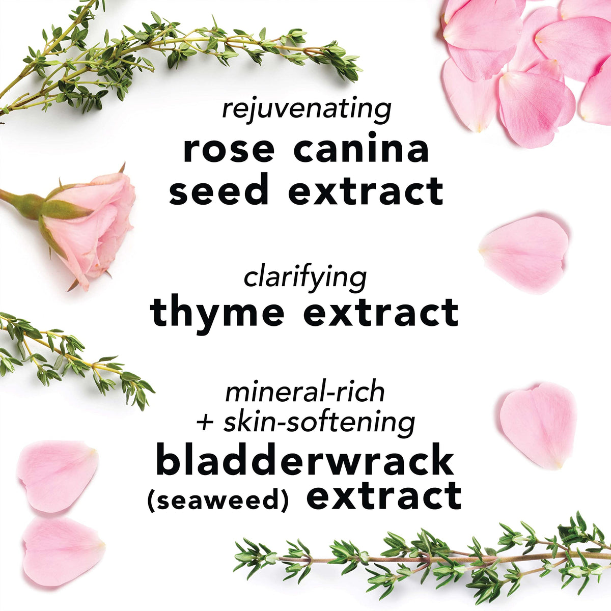 Rose petals beside Mario Badescu spray emphasizing fragrance and renewal