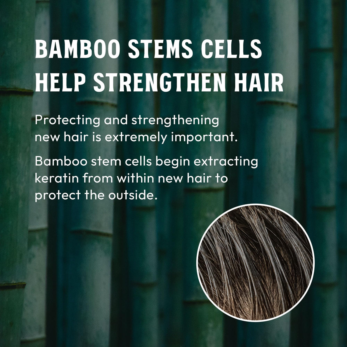 MARO17 Black+ Shampoo final look suggesting thicker, darker-looking hair