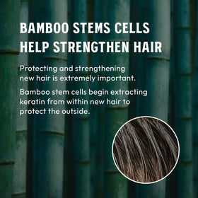 MARO17 Black+ Shampoo final look suggesting thicker, darker-looking hair