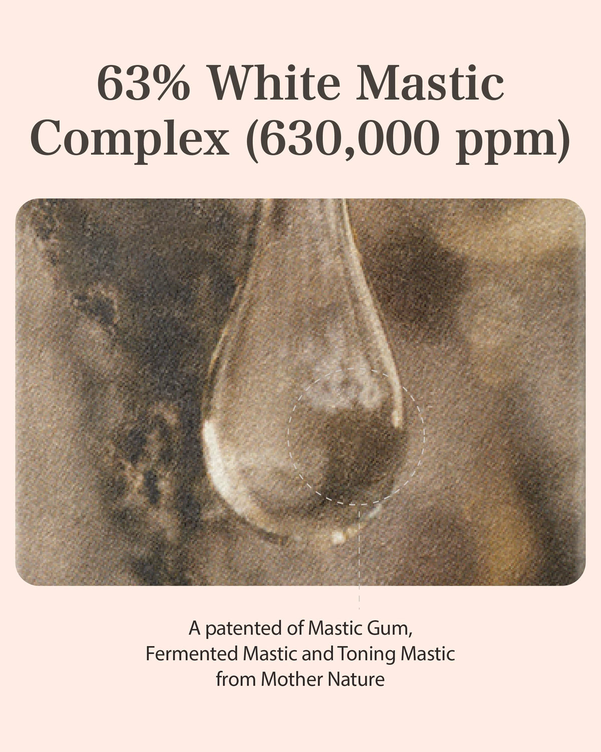 MASTINA Fermented Mastic Gum shows enhanced skin absorption.