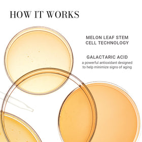 Meaningful Beauty galactaric acid antioxidant sample emphasizes protection against aging signs.