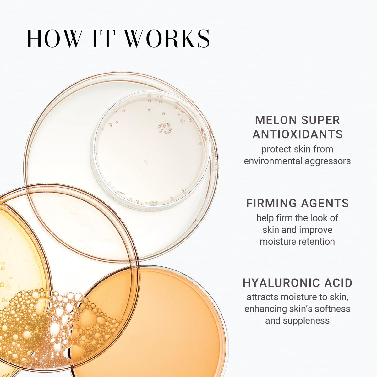 Meaningful Beauty melon leaf stem cell technology visual suggesting antioxidant protection for skin.