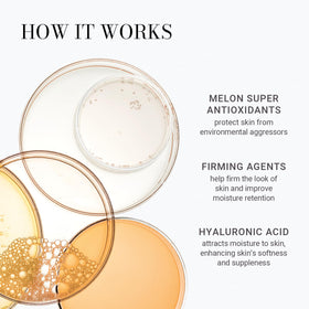 Meaningful Beauty melon leaf stem cell technology visual suggesting antioxidant protection for skin.