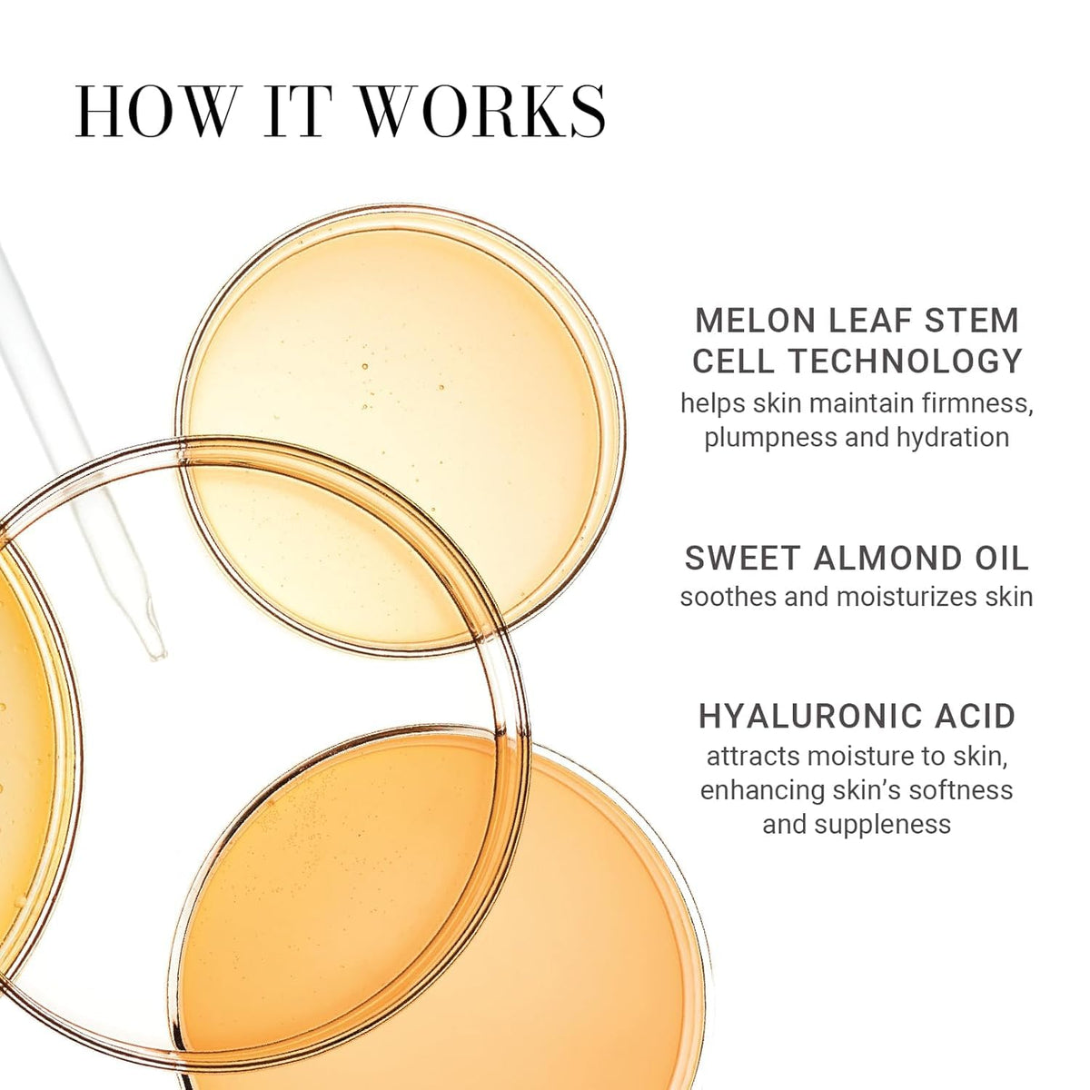 Meaningful Beauty packaging and product line conveys premium body care routine.