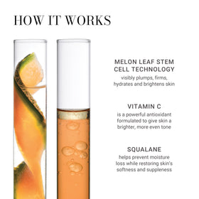 Meaningful Beauty Vitamin C Bi-Phase Oil being applied to the face for a dewy finish