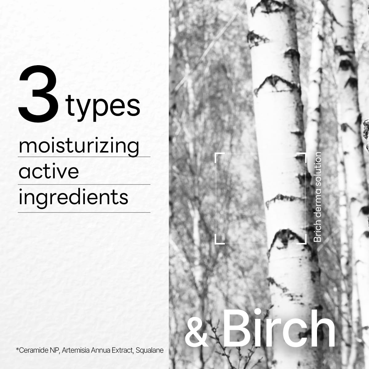 Birch essence close-up demonstrating deep moisturization for dry skin