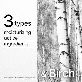 Birch essence close-up demonstrating deep moisturization for dry skin