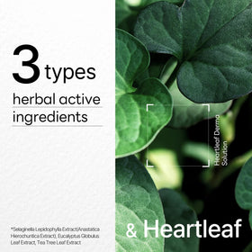 Mediheal Heartleaf Mask delivers a refreshing finish on skin.