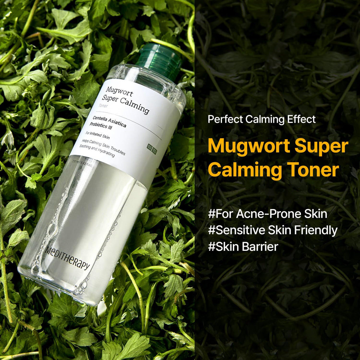 MEDITHERAPY Mugwort Toner ingredients highlight centella and probiotics for skin vitality