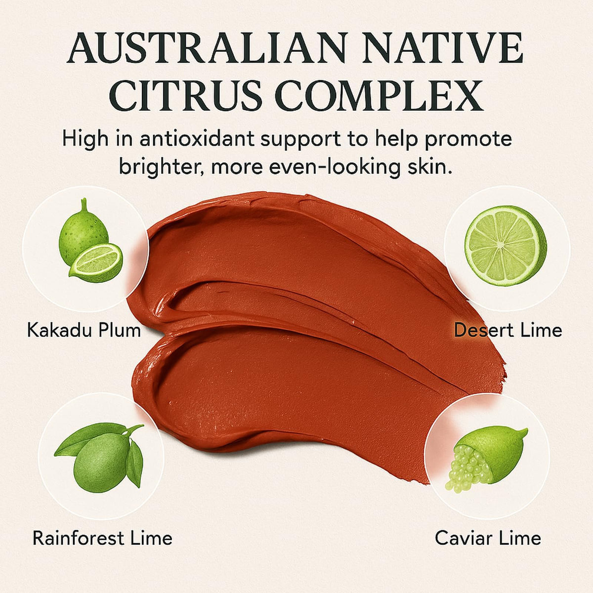 Megacephalus Kakadu Plum Extract boosts antioxidant radiance.