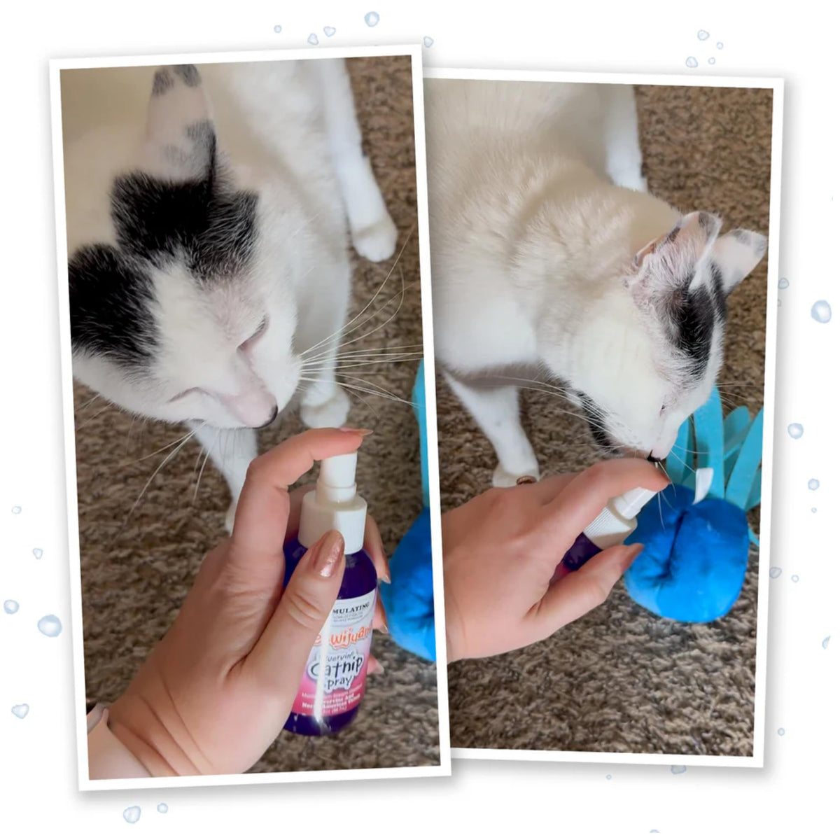 Meowijuana Catnip & Silvervine Spray Trio suits a busy multi-cat room.