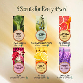 MESMOS eucalyptus menthol steamer for clear-headed steam experience