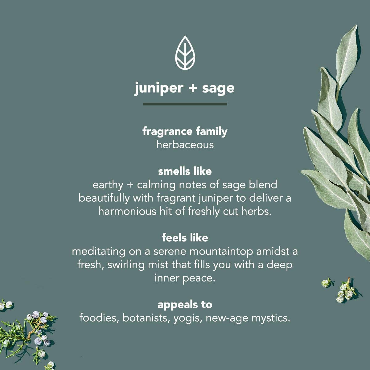 Method Mens Juniper Sage deodorant stick texture detail on application surface
