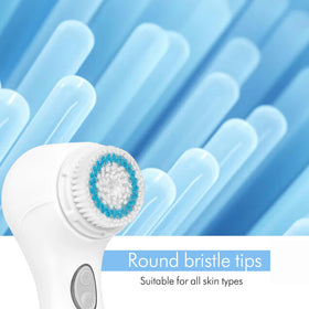 Microtree compact rechargeable brush ready for travel and home use