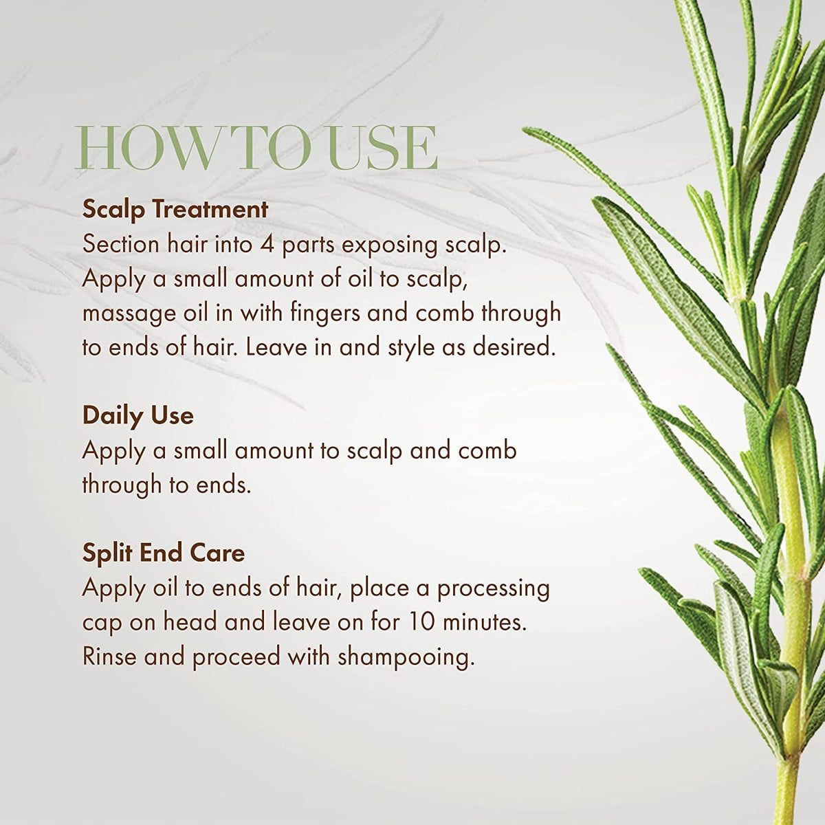 Mielle Organics Rosemary Mint oil bottle beside fresh rosemary and mint leaves.