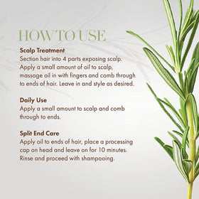 Mielle Organics Rosemary Mint oil bottle beside fresh rosemary and mint leaves.