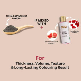 MinaiBrow cassia obovata powder tub as plant-based color base