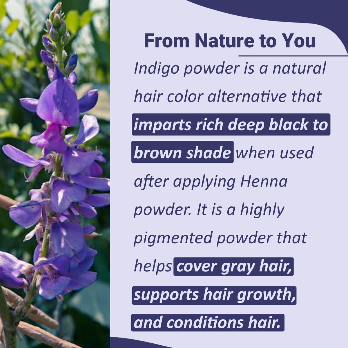 Mi Nature Indigo Leaf Powder texture close-up—fine, earthy powder ready to mix