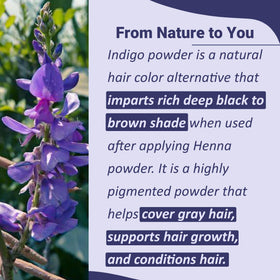 Mi Nature Indigo Leaf Powder texture close-up—fine, earthy powder ready to mix