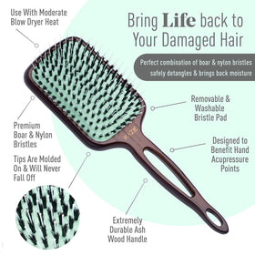 MINT detangling on wet hair with anti-breakage design.