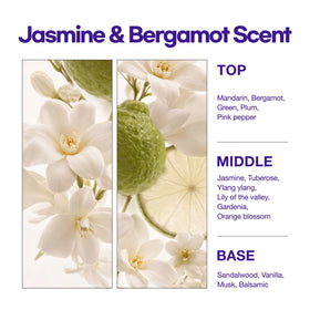 Mise En Scene coconut oil infusion nourishes and conditions hair.