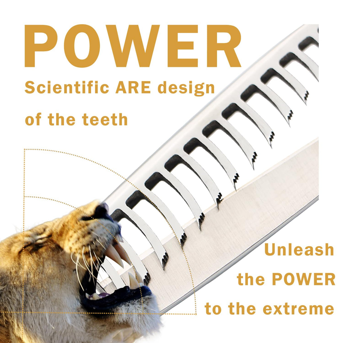 MISSUM texturizing scissors precision teeth detail supports controlled texture.