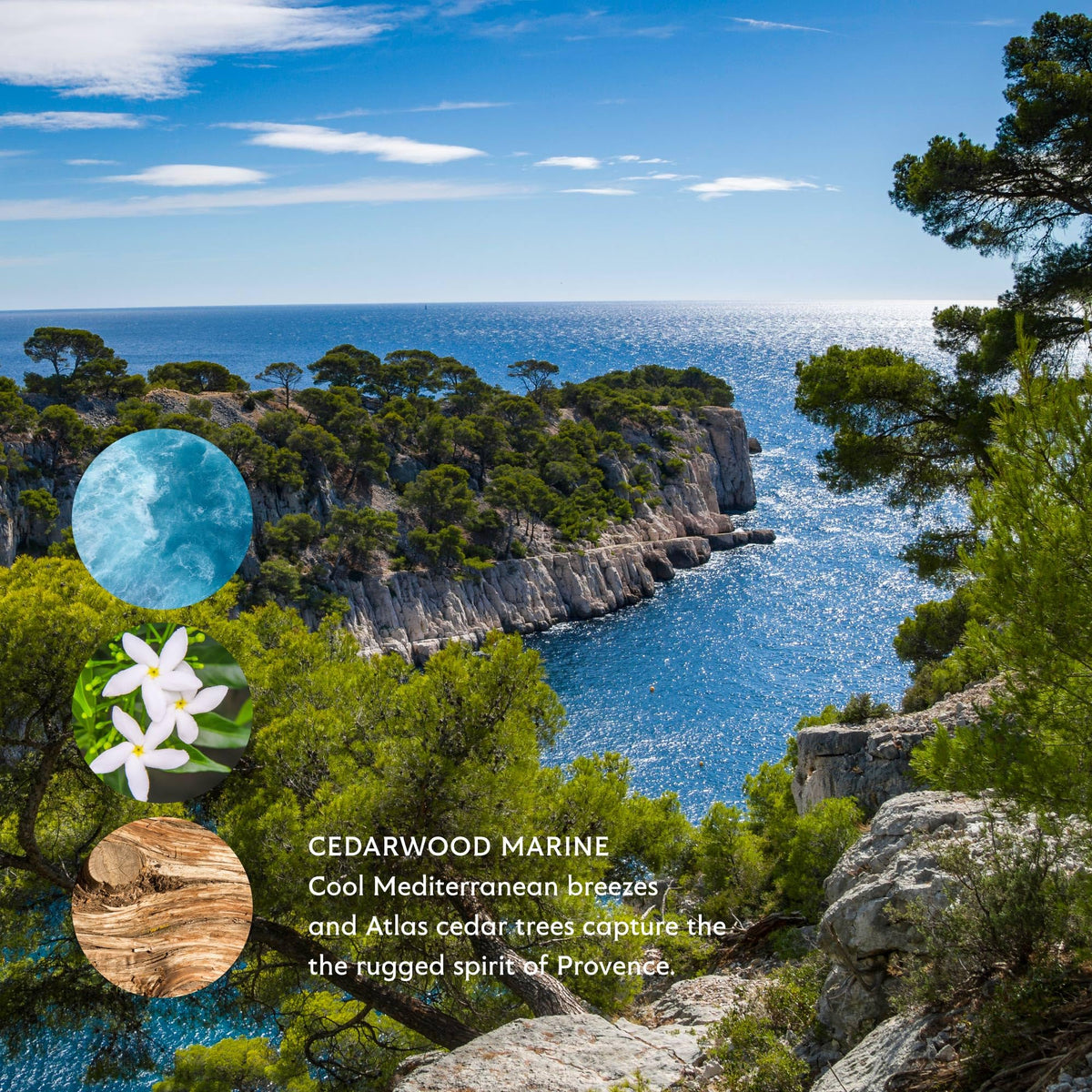 Mistral Cedarwood Marine bar soap in-use on skin for daily refreshing cleanse