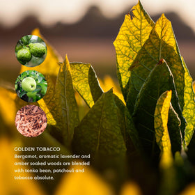 Mistral Golden Tobacco bar soap Provence packaging evokes luxury.